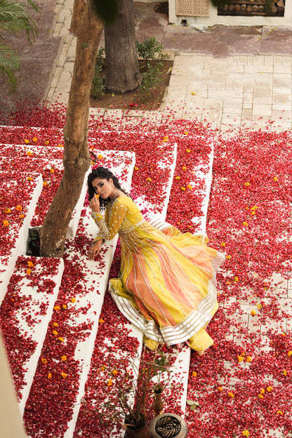 Rangili